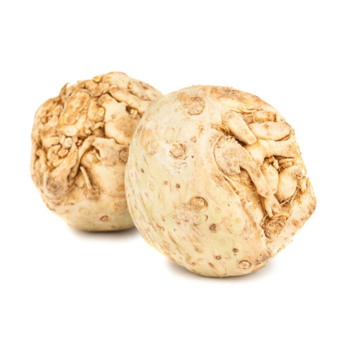 Селера корінь